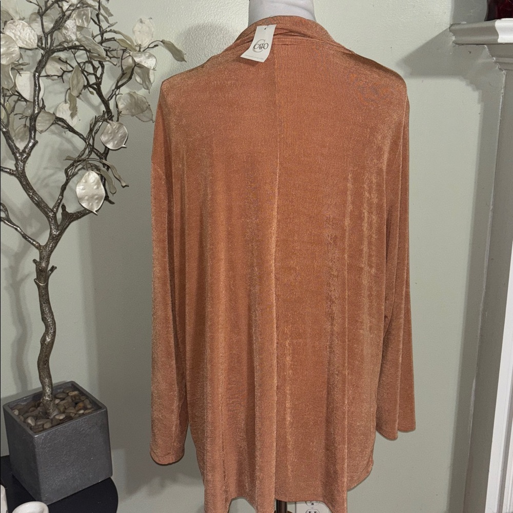 Cato Rust Women's Blouse - Picture 4 of 4